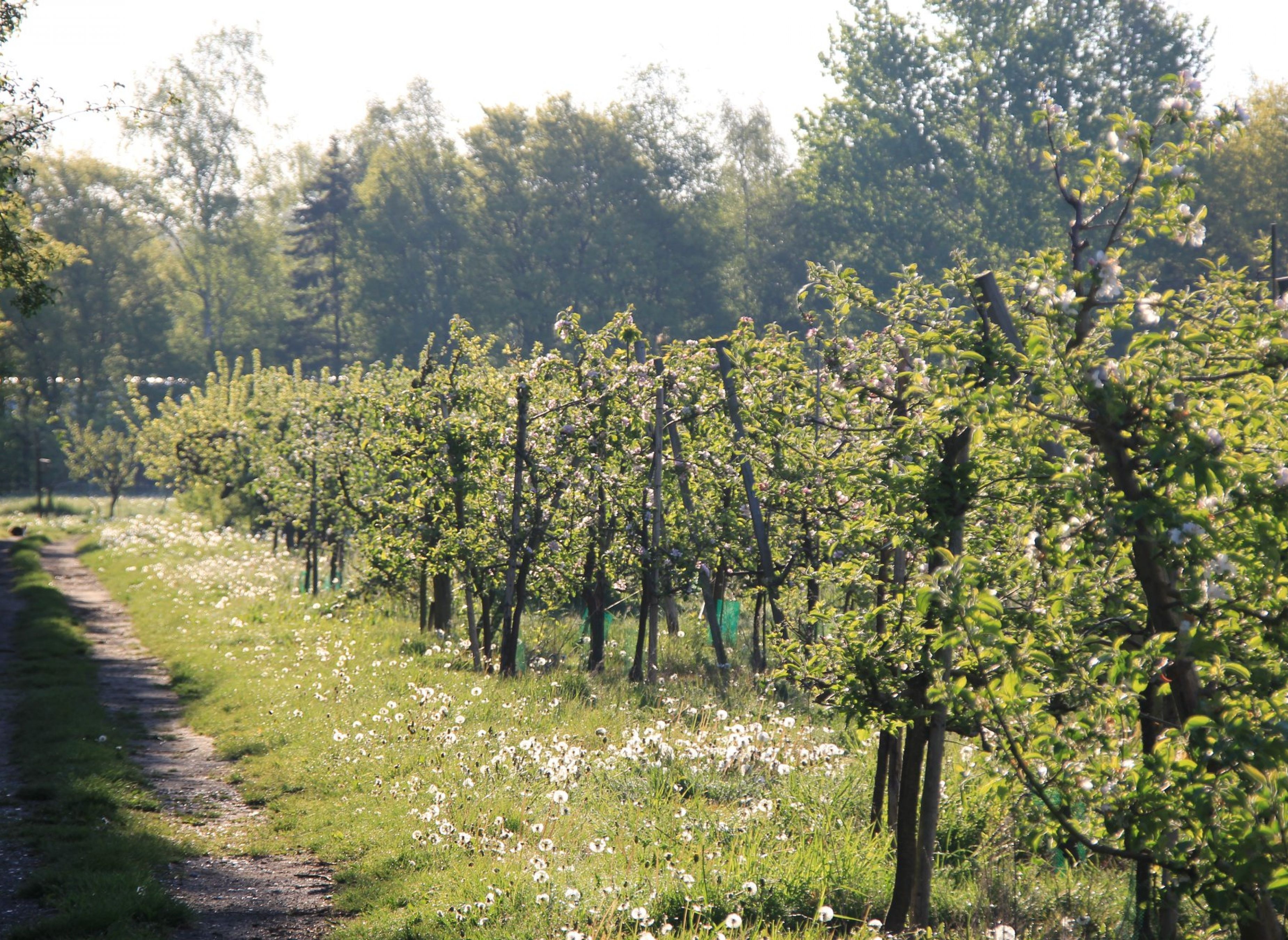 Natur Camp Kildevej — Місце для кемперів in Kettinge