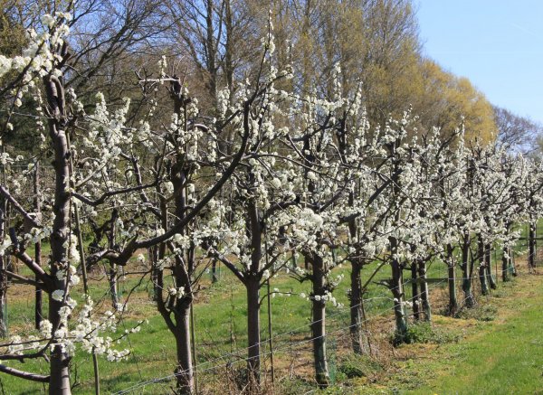 Natur Camp Kildevej — Photo 2