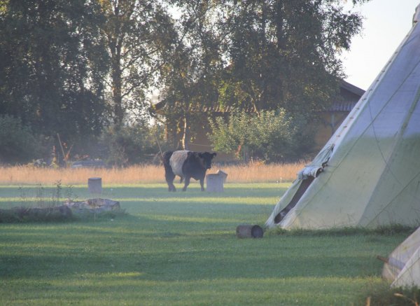 Natur Camp Kildevej — Photo 6