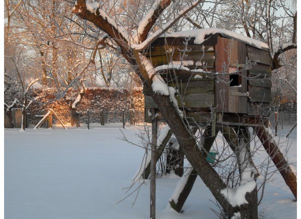 Camping het Achterhuis — Photo 3