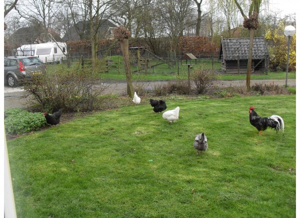 Camping het Achterhuis — Photo 6