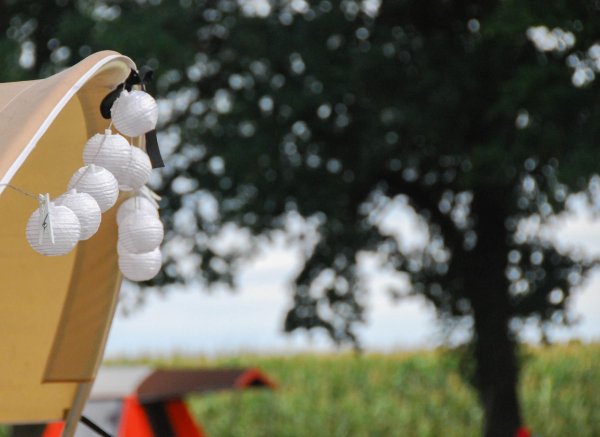 Domaine de l'Oiselière — Photo 6