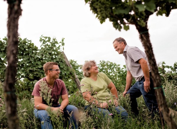 campen am Weingut im Weingarten — Foto 2