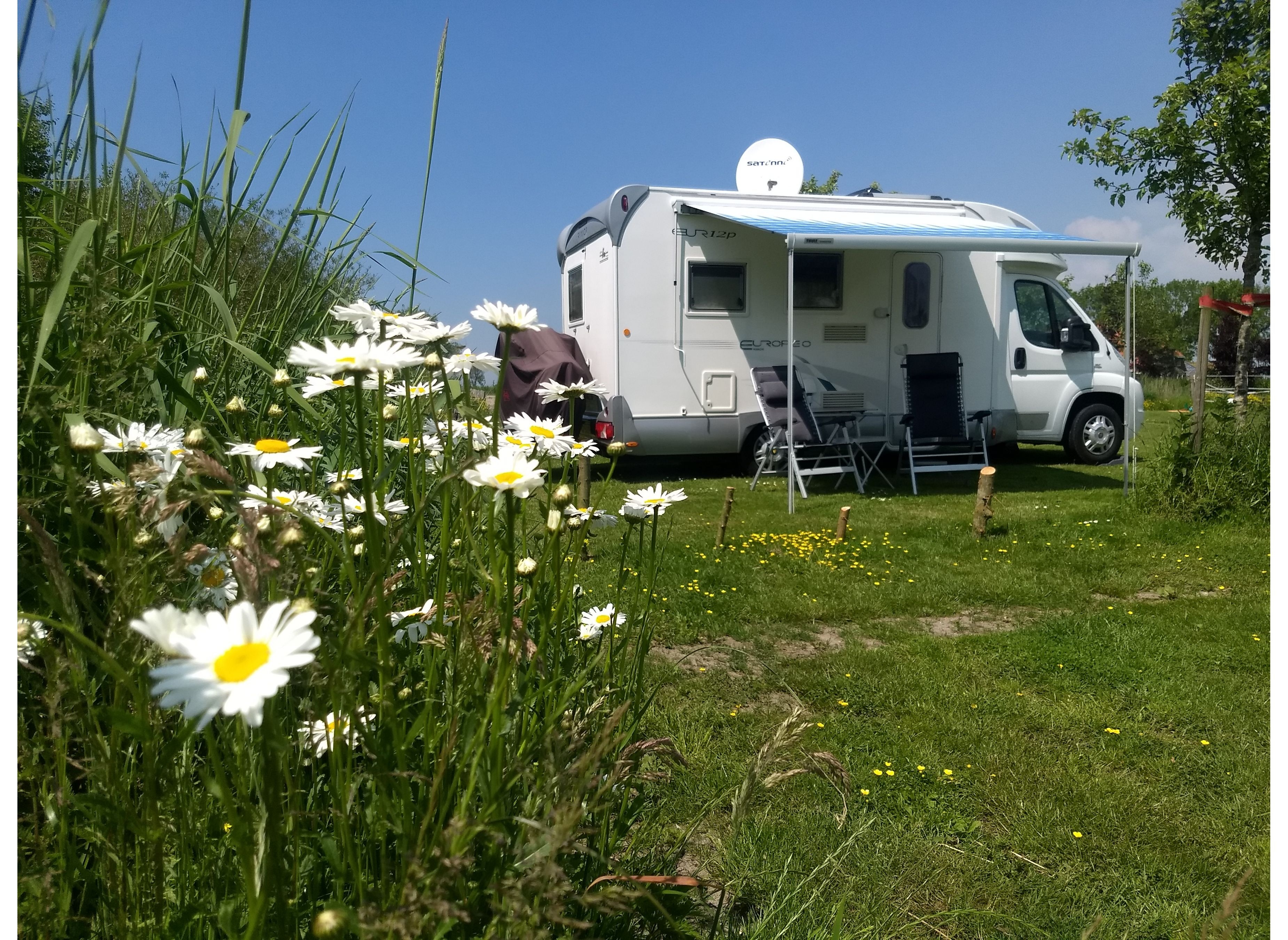 De Wartenster — Camping in Warten