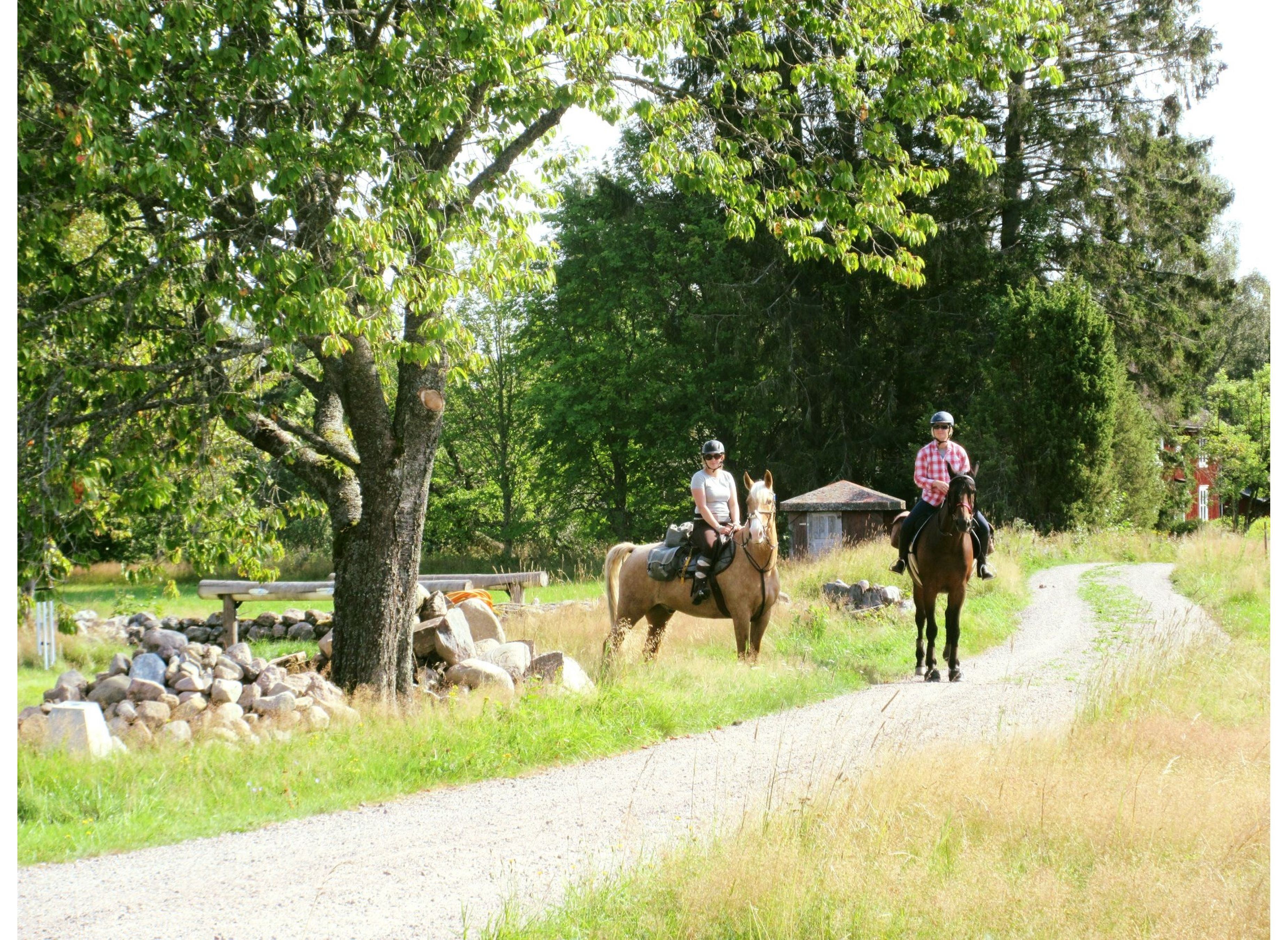 Rikardsgården — Campingplass in Älgarås