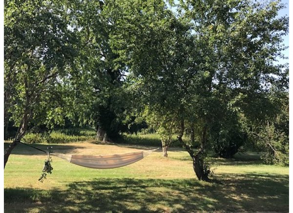 Camping de la touche — Photo 2