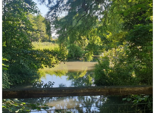 Camping de la touche — Photo 5