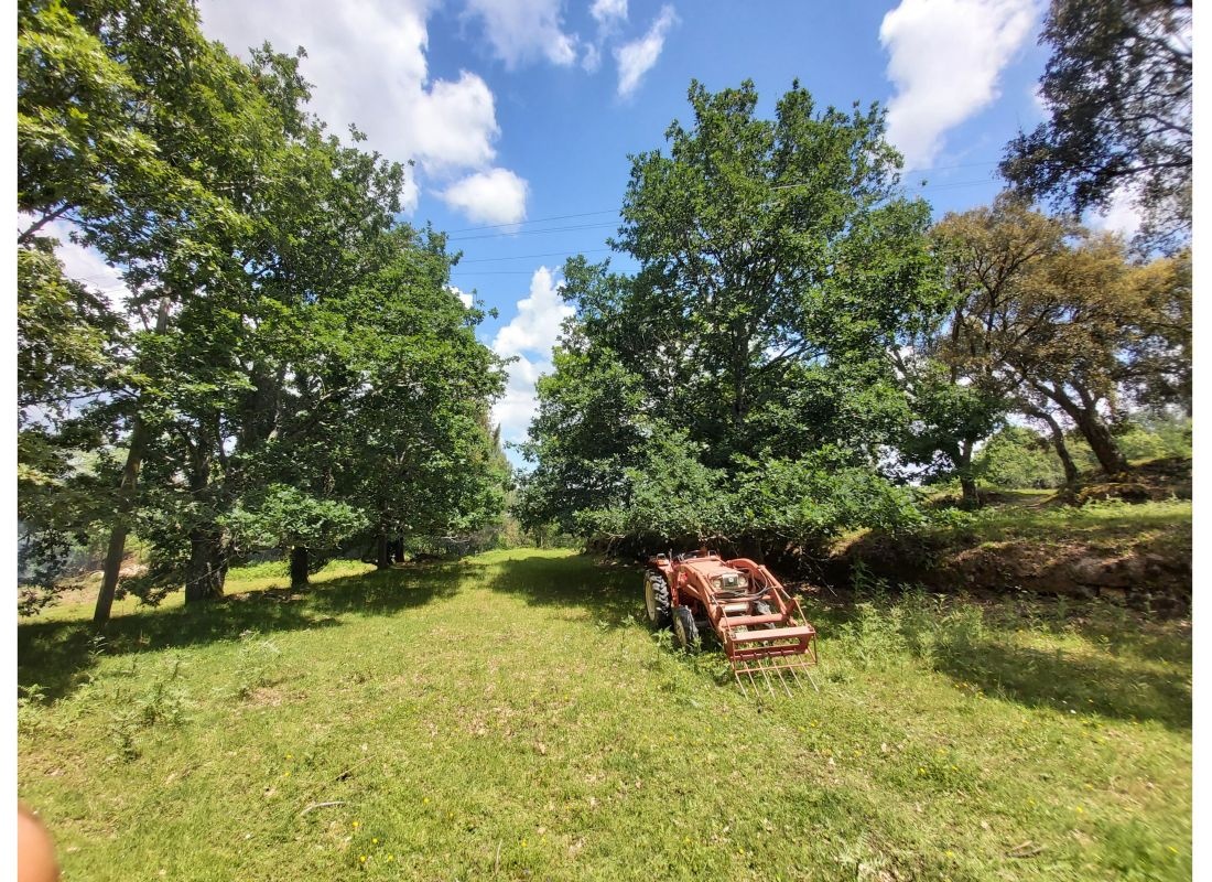 Quinta Valecainha — Campingplads in Póvoa de Midões