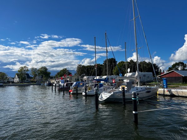 Stellplatz am Hafen Altwarp — Photo 4