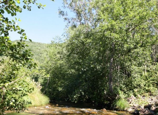 CAMPING VALLE DO SEO — Photo 4