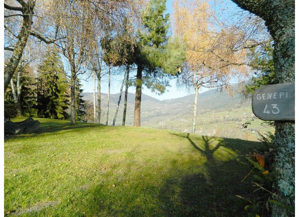 Camping Les 7 Laux *** — Photo 5