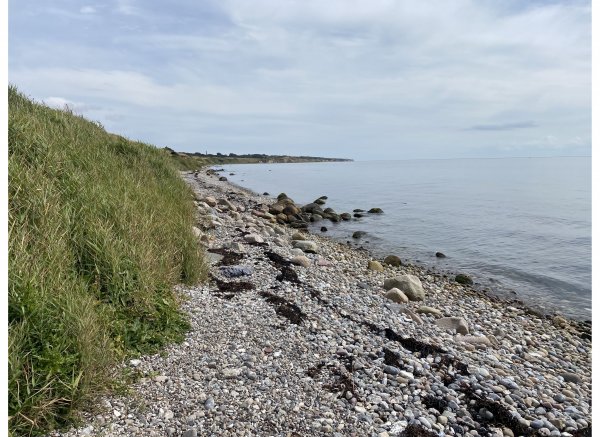 Ærøskøbing Camping