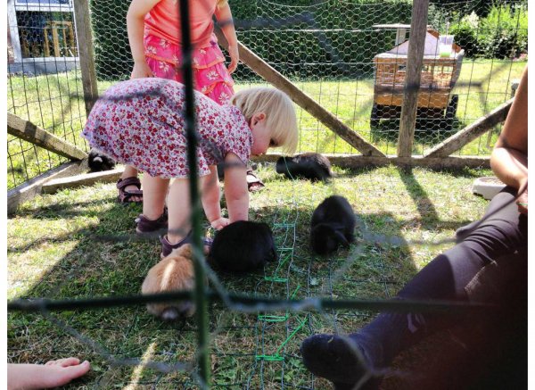 Lægårdens camping — Photo 5