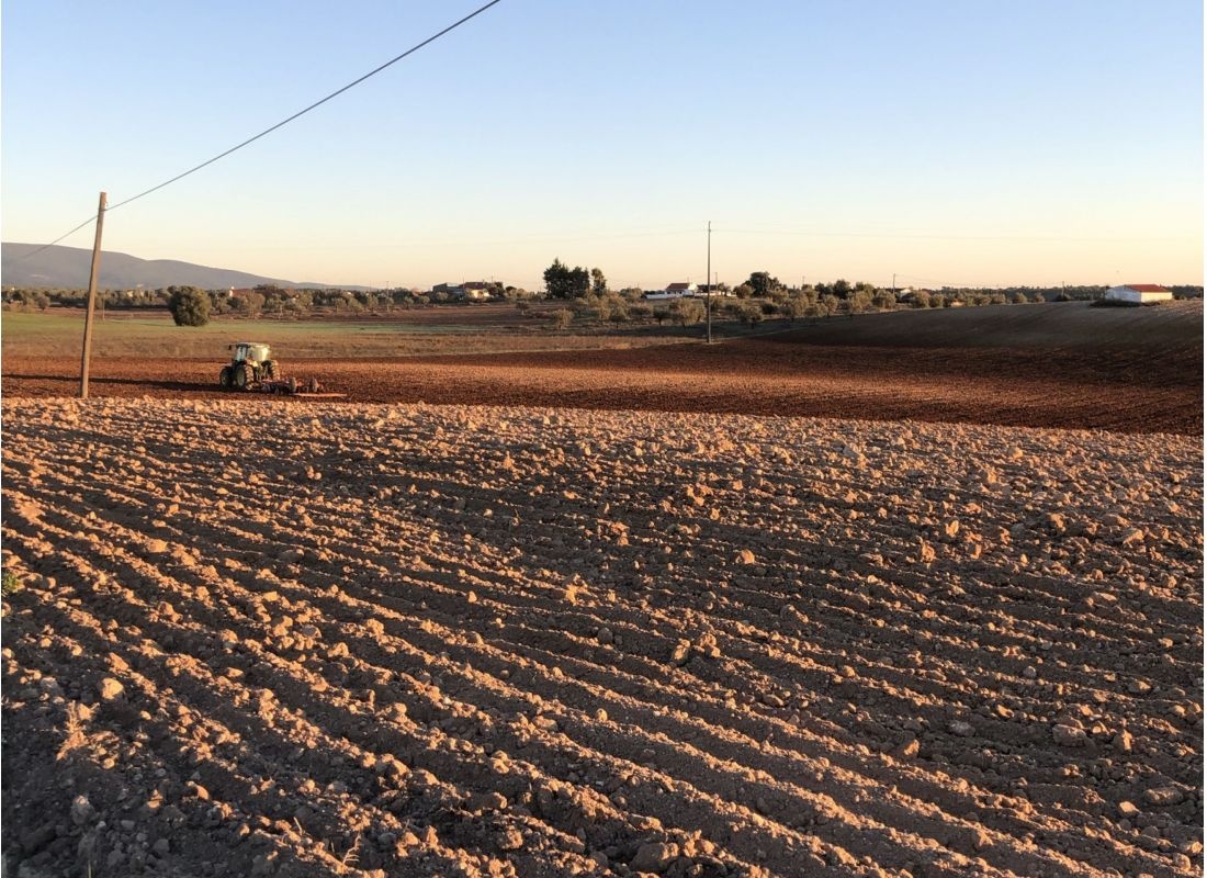 Casalinho da Aninhas — Karavan Sitesi in Santarém