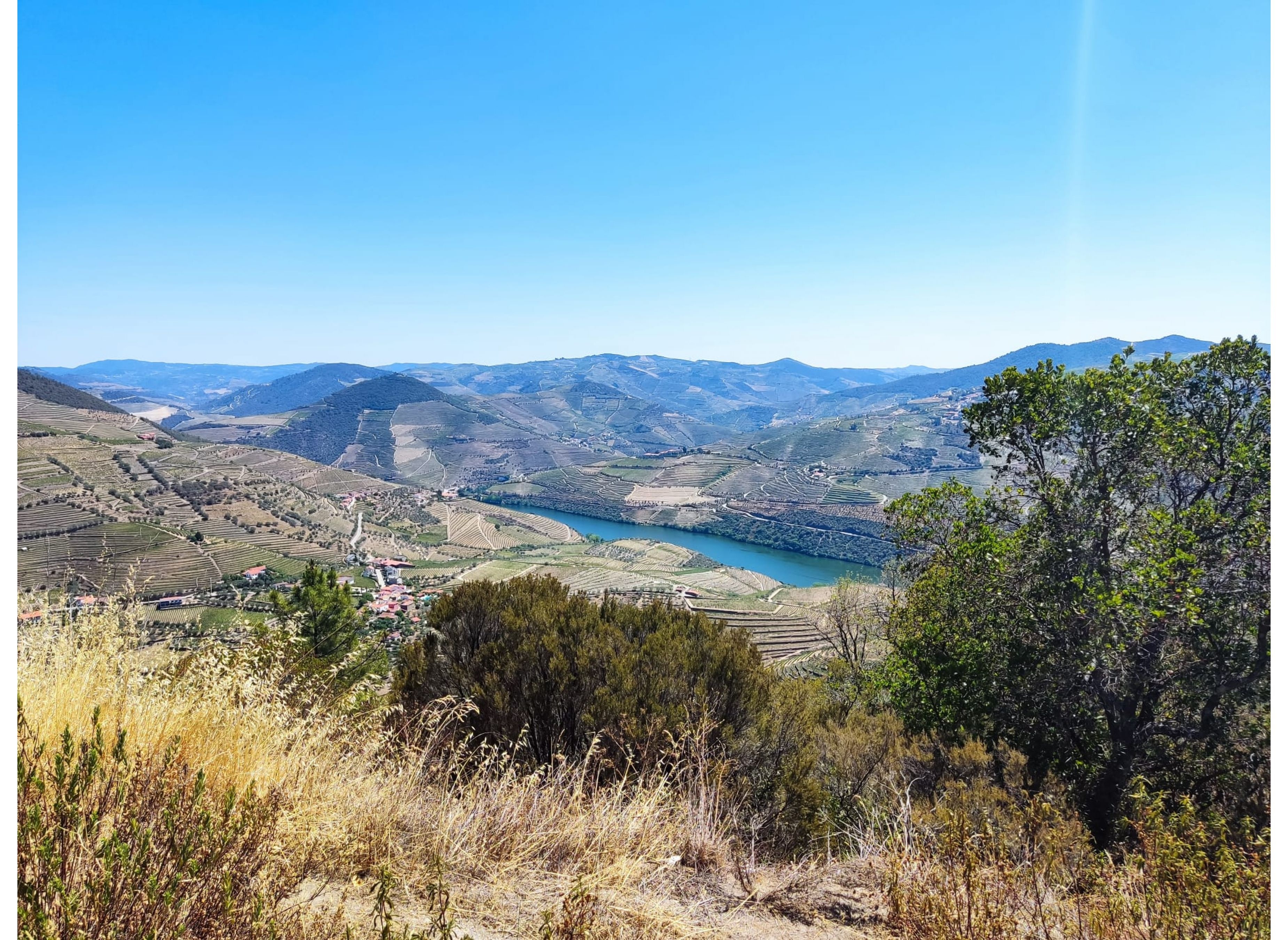 Peaceful Douro — Area di sosta in Vila Real