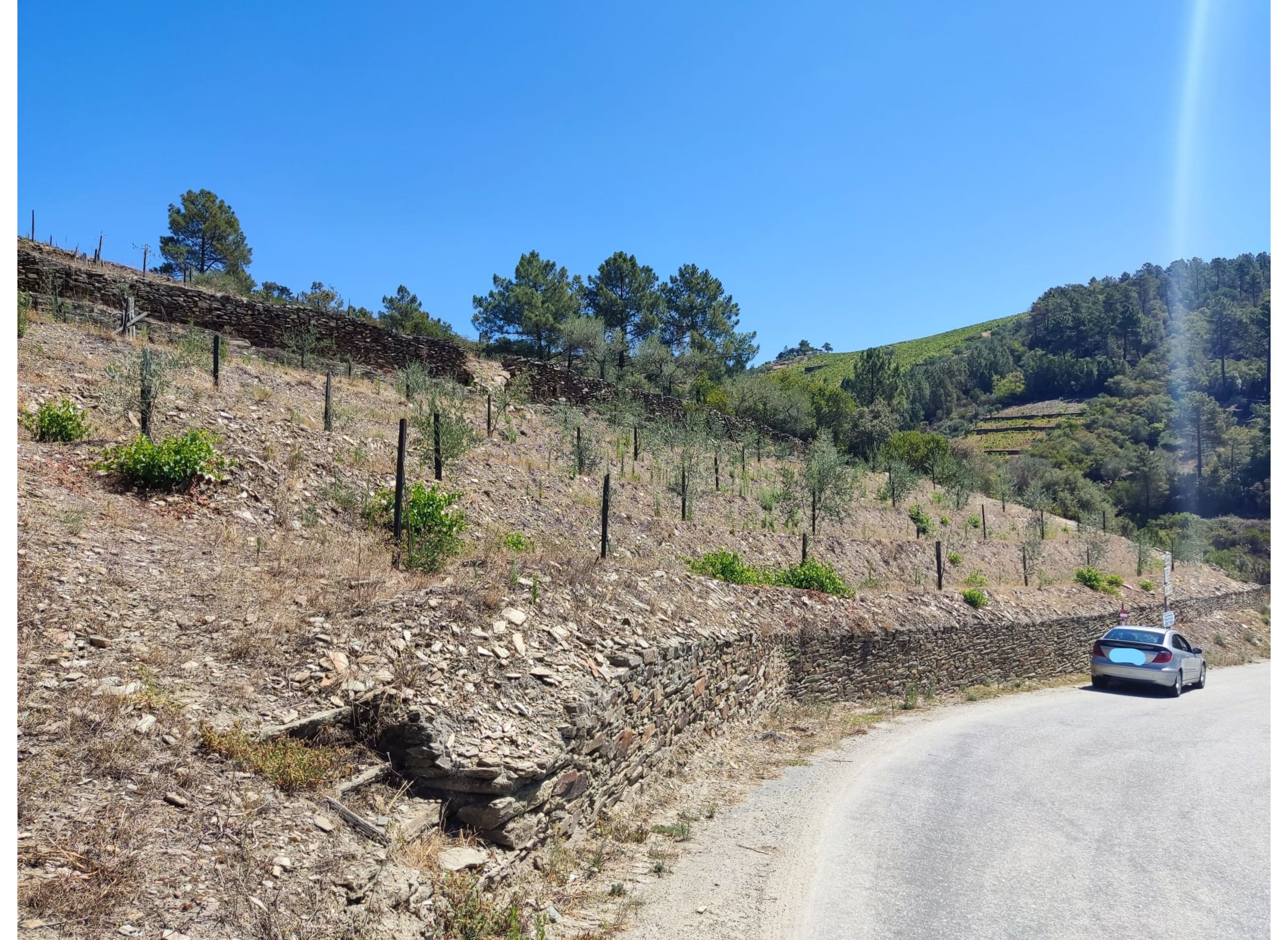Peaceful Douro — Stellplatz in Vila Real