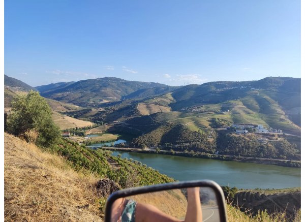 Peaceful Douro — Foto 6