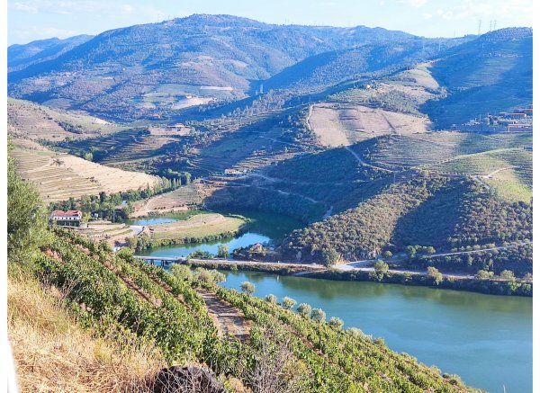 Peaceful Douro — Foto 5