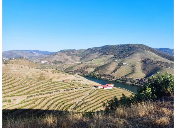 Peaceful Douro — Foto 4