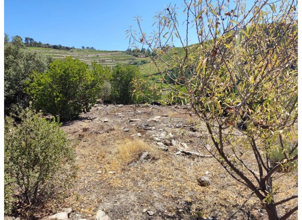 Peaceful Douro — Photo 4