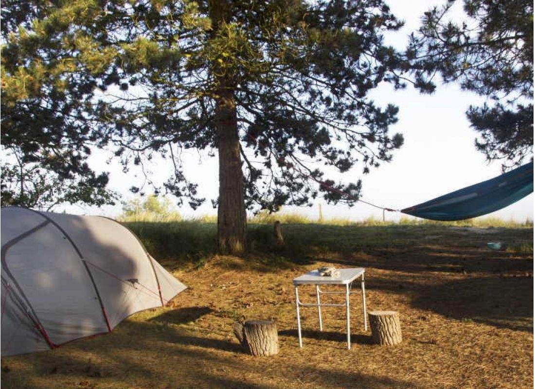 Møn Camping Hårbølle Strand — Місце для кемпінгу in Askeby