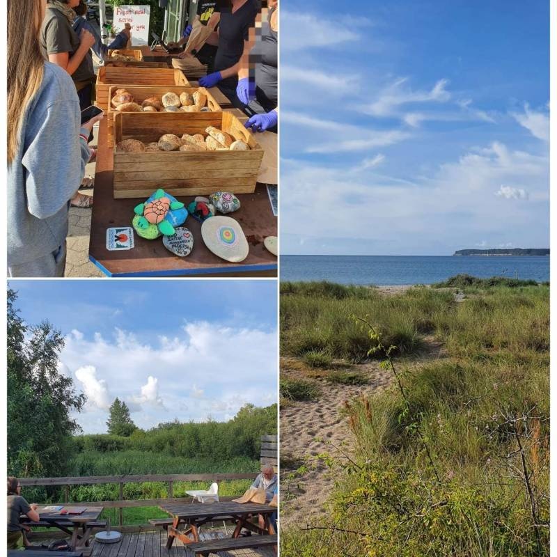 Møn Camping Hårbølle Strand — Campingplass in Askeby