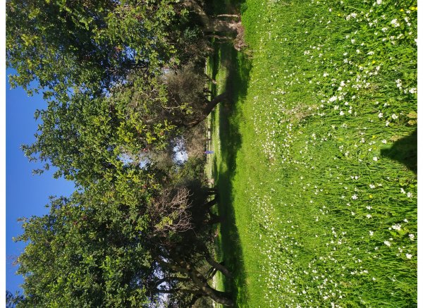 Maluchiffari — Photo 2