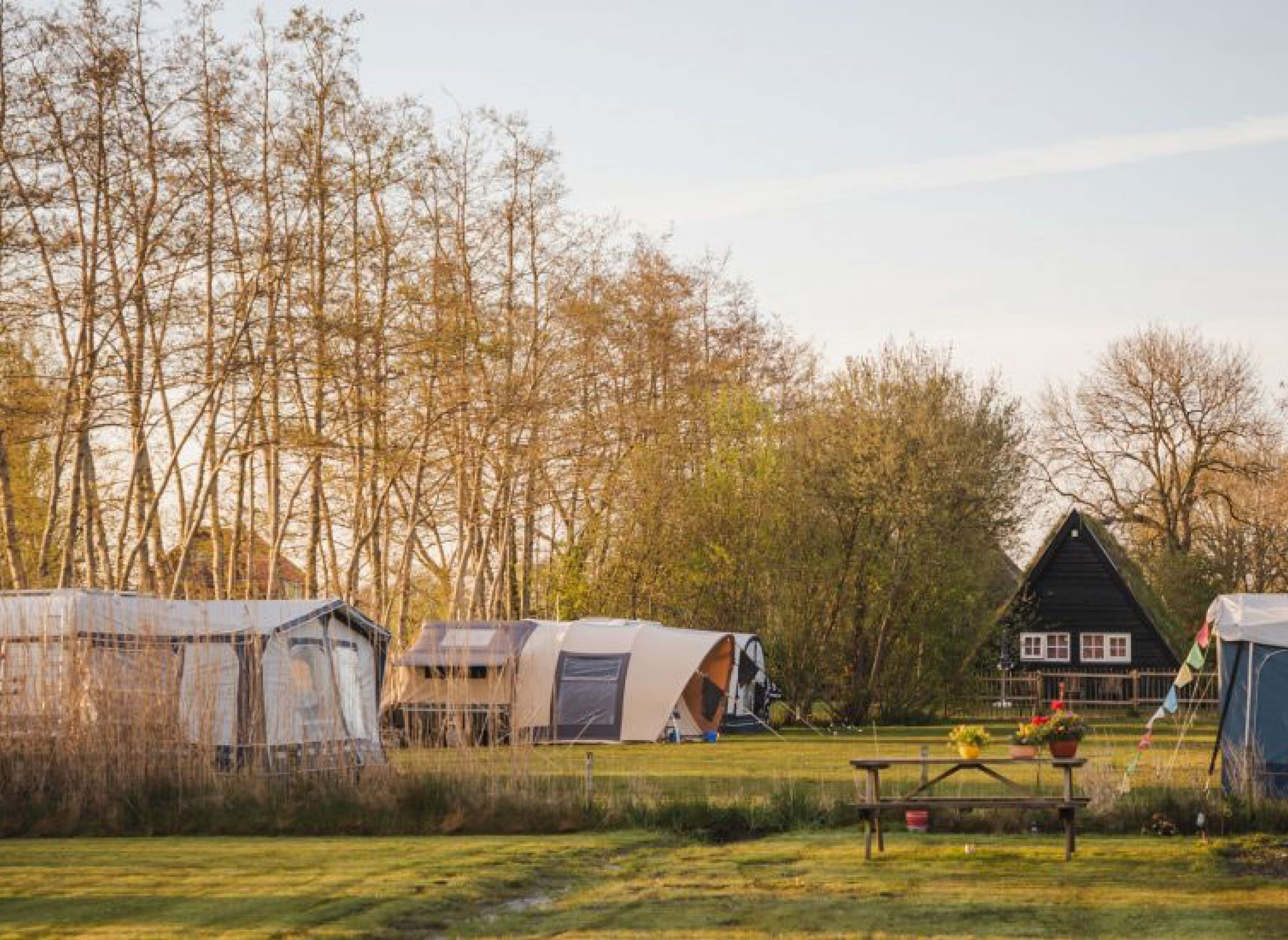 De Toffe Peer — Kemping in Ruinerwold