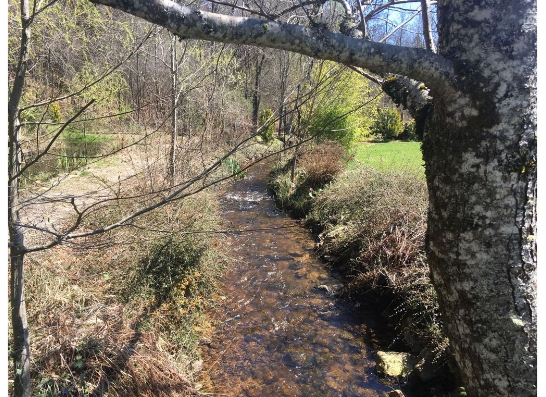 Chirac-Bellevue — Camping in Chirac-Bellevue