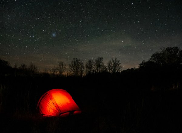 Domaine des Rêves — Photo 3