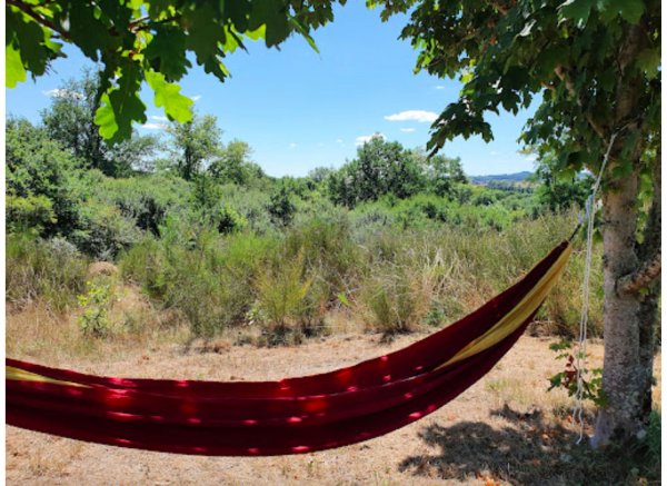 Domaine des Rêves — Photo 5