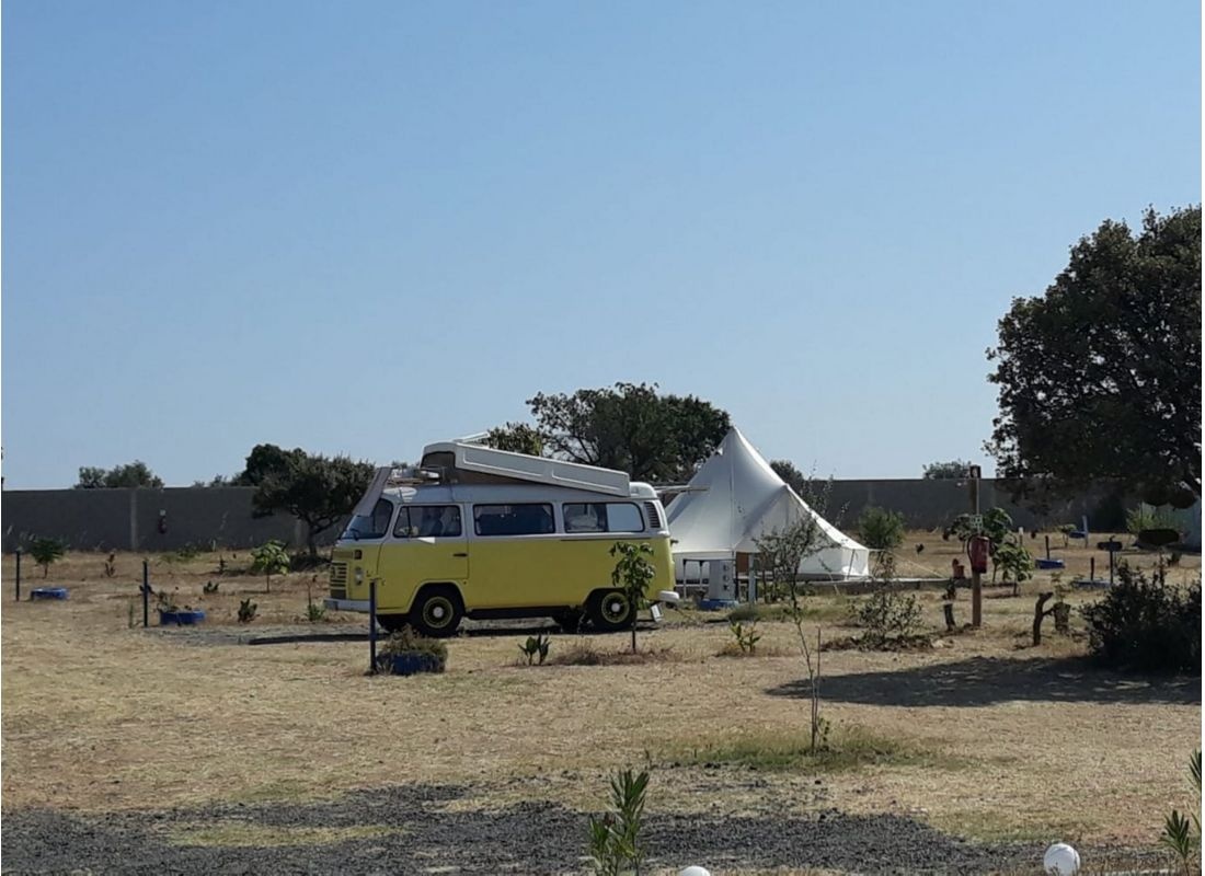 Terra Nua — Kemp in Messejana