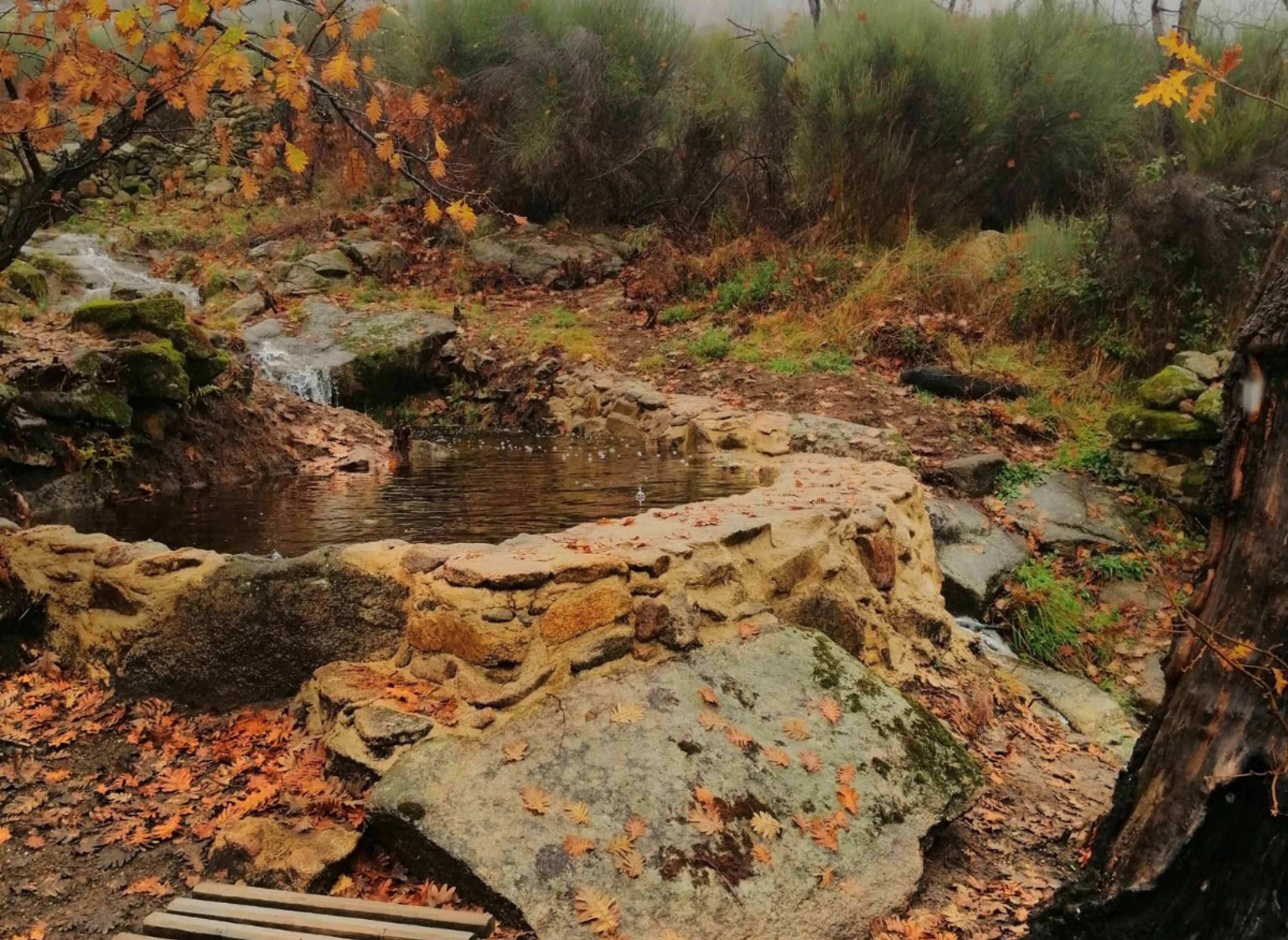 Caño de la Madre — Area da campeggio in Hoyos