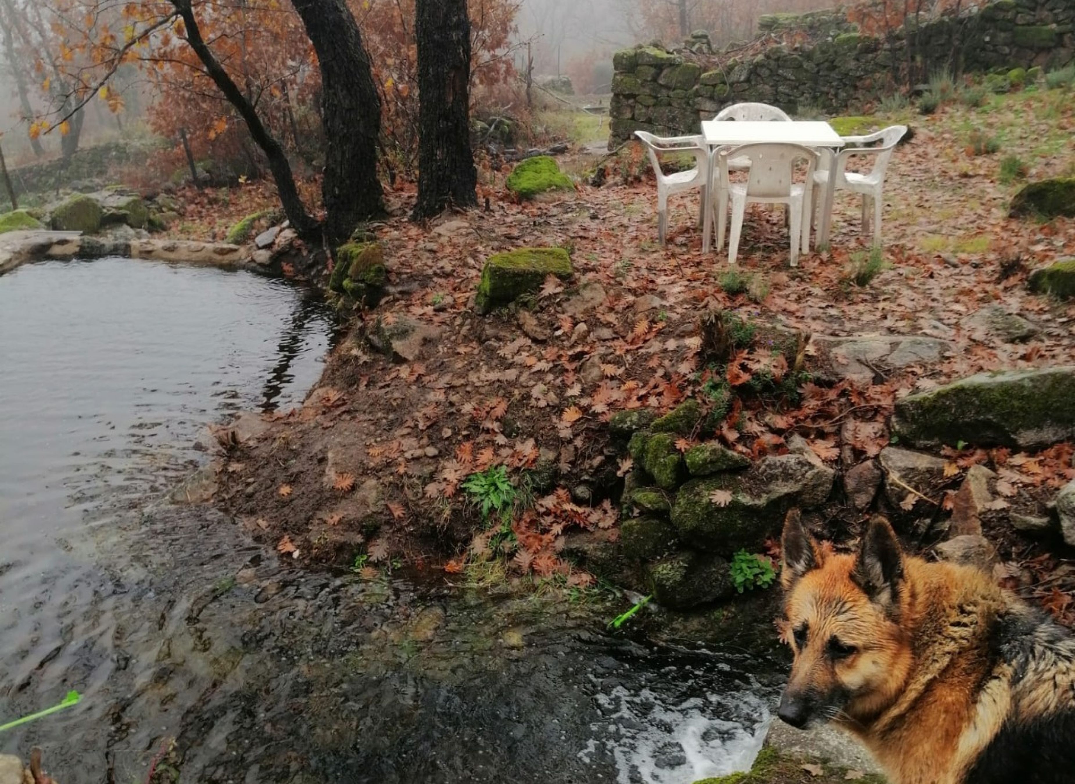 Caño de la Madre — Area da campeggio in Hoyos