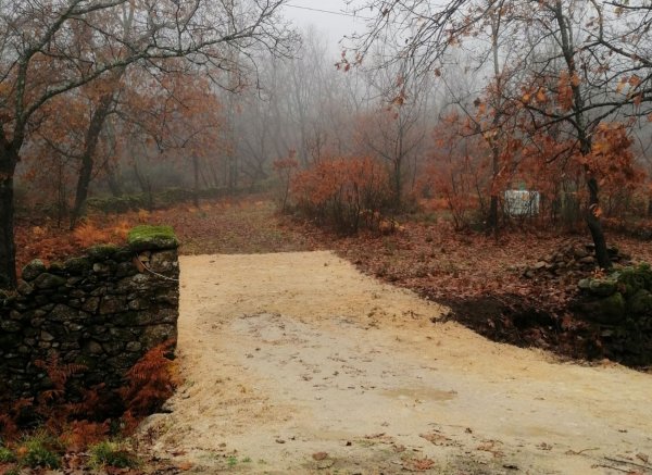Caño de la Madre — Foto 5
