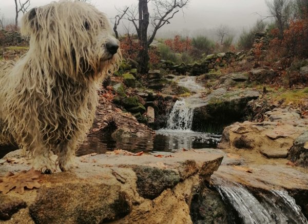 Caño de la Madre — Foto 4