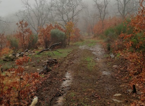 Caño de la Madre — Foto 3