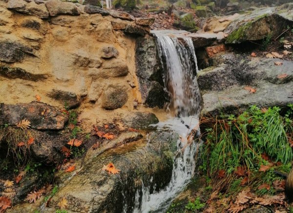 Caño de la Madre — Foto 2