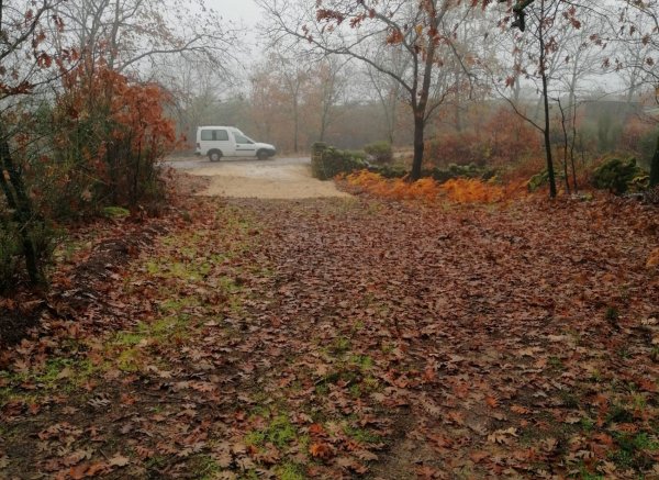 Caño de la Madre — Photo 3