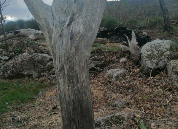 Caño de la Madre — Photo 4