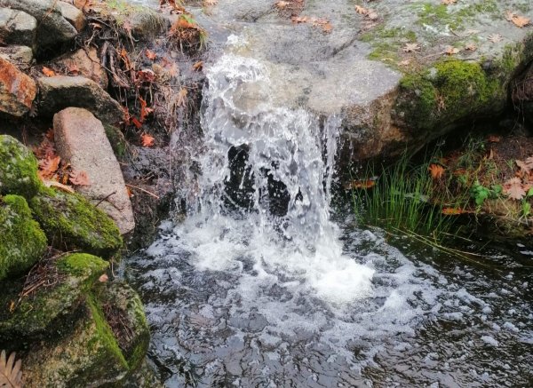 Caño de la Madre — Photo 5