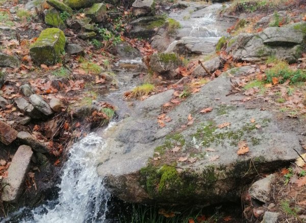 Caño de la Madre — Photo 6