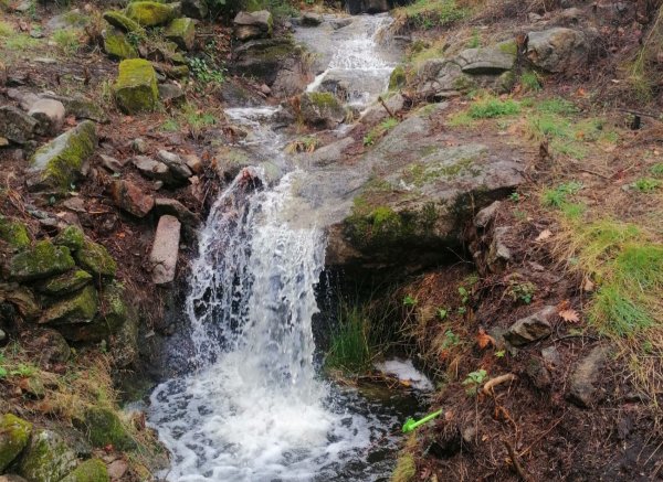 Caño de la Madre — Foto 6