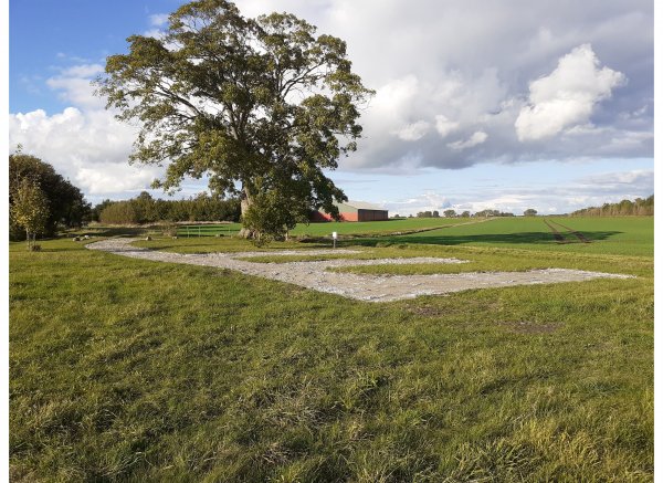 Camping in the Heart of Falster — Photo 2