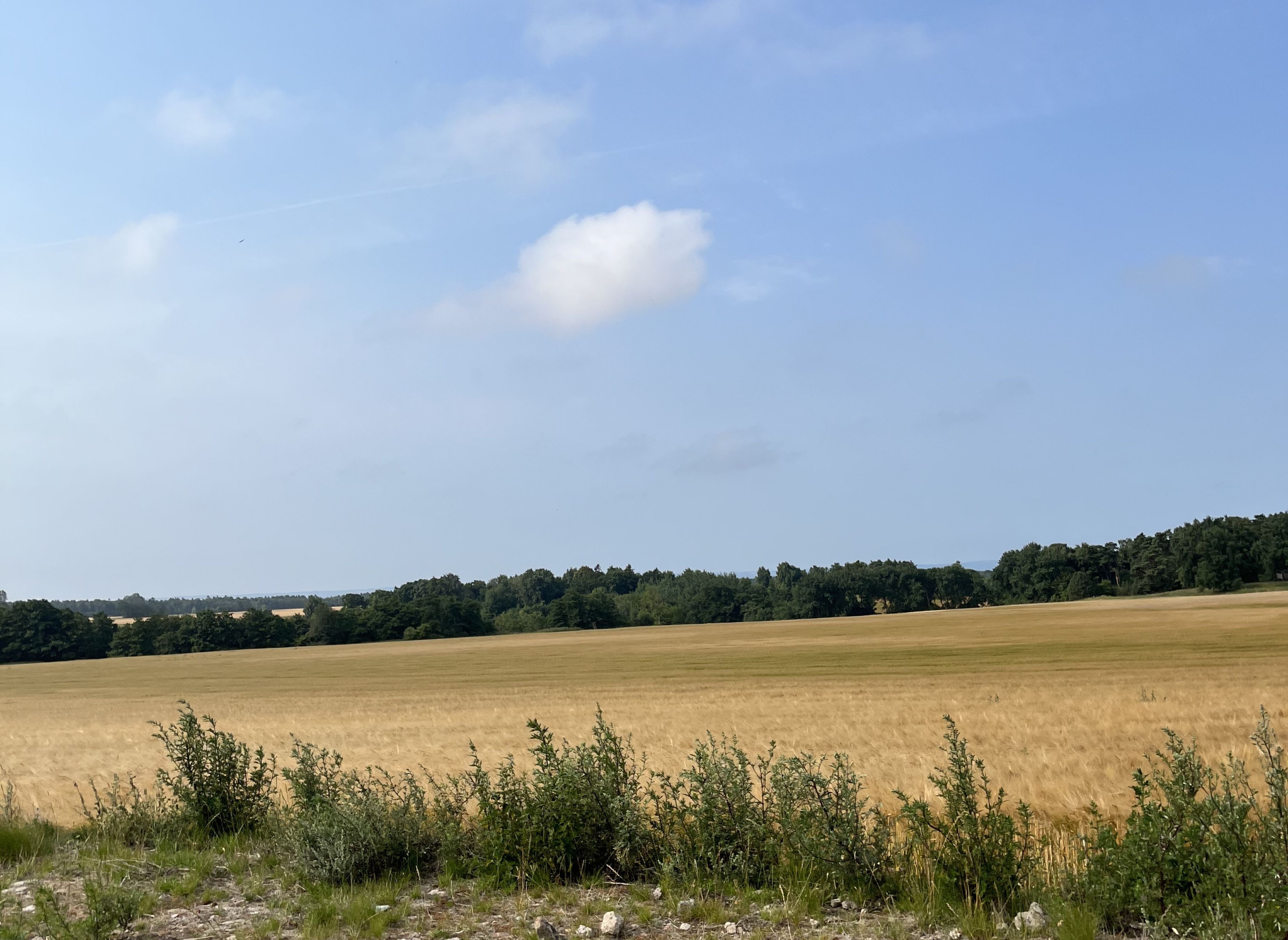 Stall Colombine — Campingplats in Eldsberga