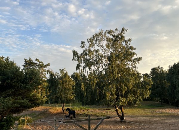 Stall Colombine — Photo 3