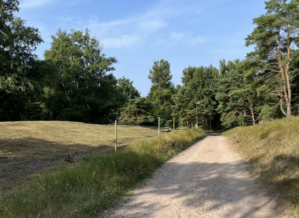 Stall Colombine — Photo 4