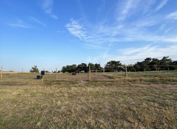 Stall Colombine — Photo 6