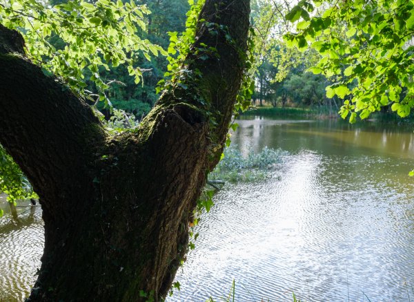 Camping La Viotterie — Photo 3