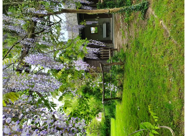 Camping La Viotterie — Photo 4